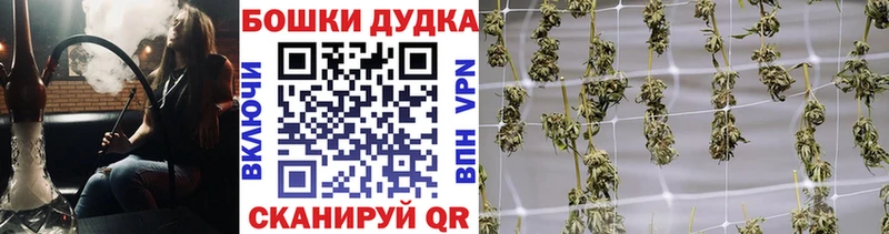 Конопля тримм  Купить закладки  Звенигово 